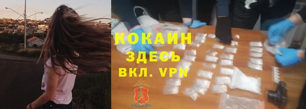 прущий лед Карпинск