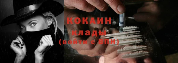 шишки Карталы