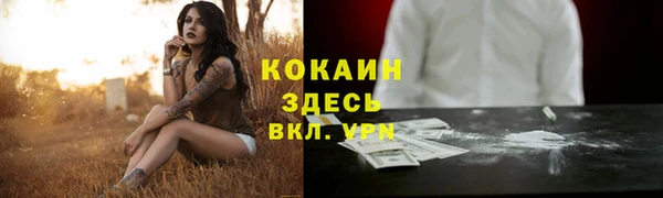 шишки Касимов