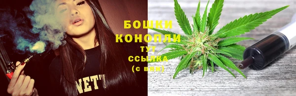прущий лед Карпинск