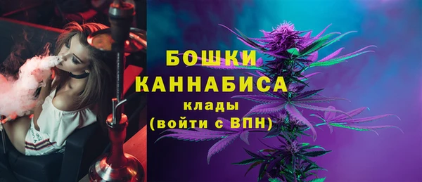 шишки Касимов